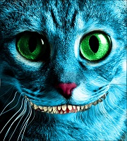 Avatar du membre